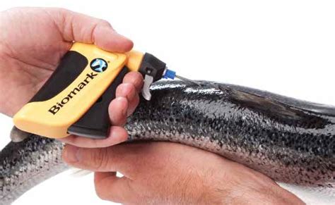 fish tracking rfid|fish tagging technology.